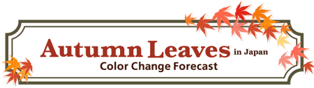 Autumn Foliage Forecast